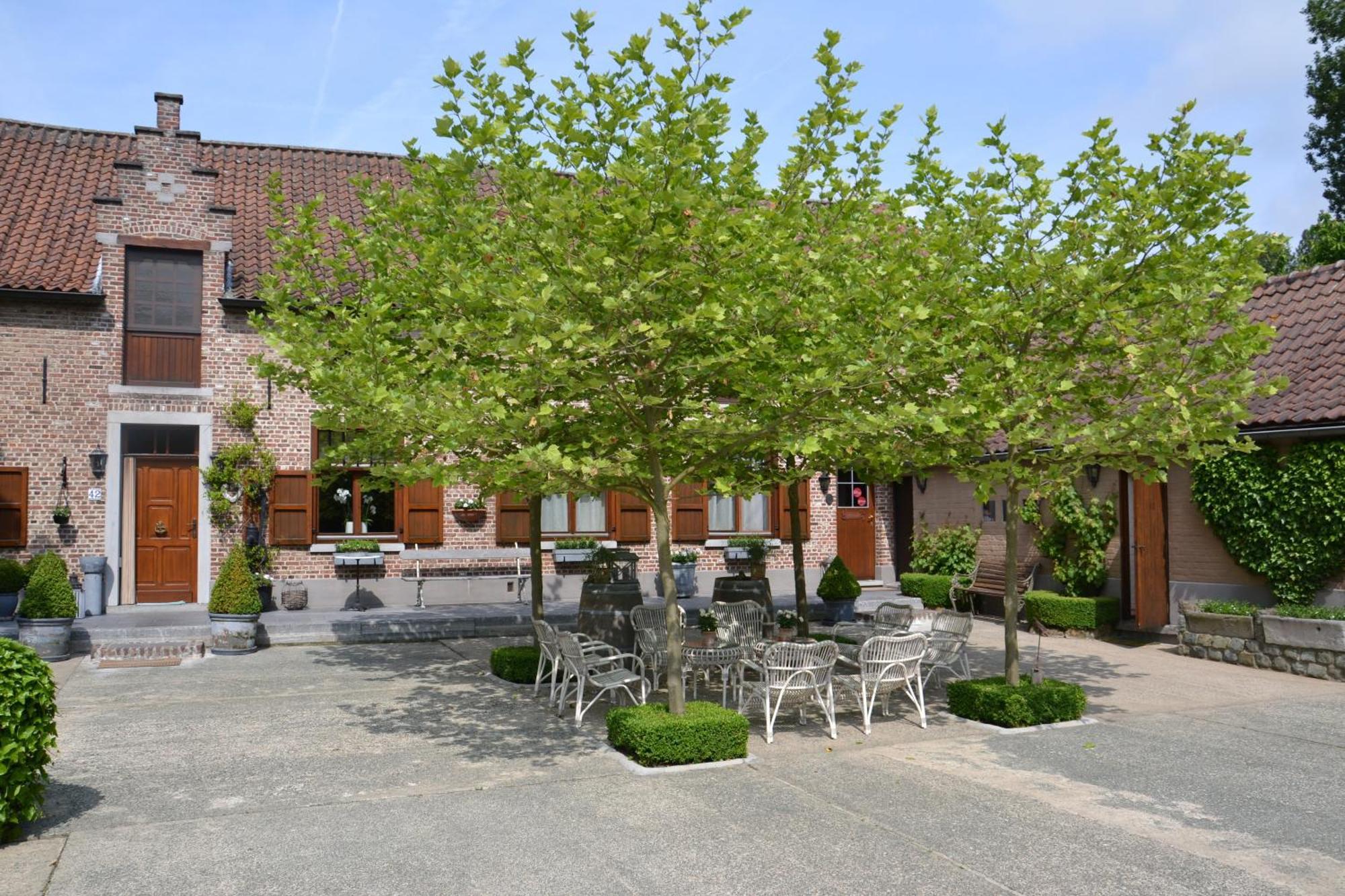 B&B Hof Te Spieringen Vollezele ภายนอก รูปภาพ